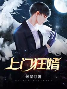 上门狂婿叶锋免费听书全集