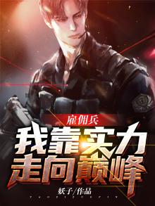 雇佣兵网络小说