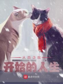 从四合院开始的人生小说