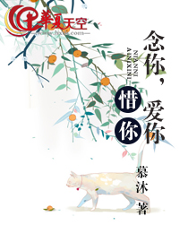 爱你念念念是什么歌