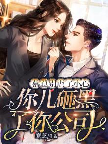 小说慕总