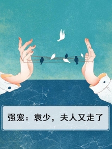 强宠:袁少,夫人又走了小说