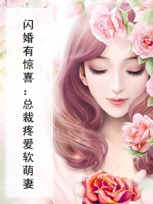 闪婚总裁疼妻入骨免费