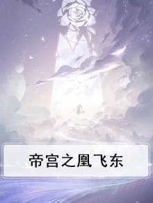 帝宫之凰飞东