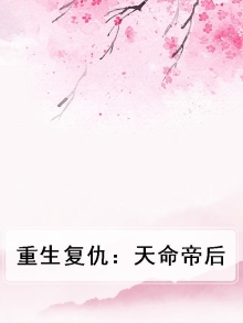 重生复仇天使小说