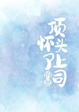 怀了顶头上司的崽,若诗安轩笔趣阁