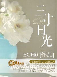 三寸日光小说