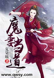 魔师小说妻如针
