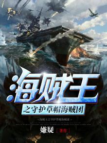 海贼王之守护草帽海贼团小说