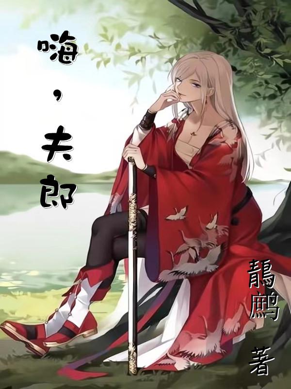 嗨,夫郎,小说