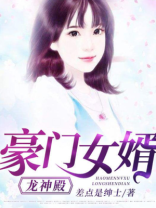 豪门女婿龙神殿免费阅读
