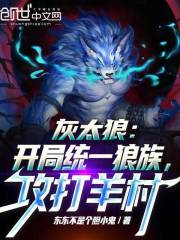 灰太狼系统