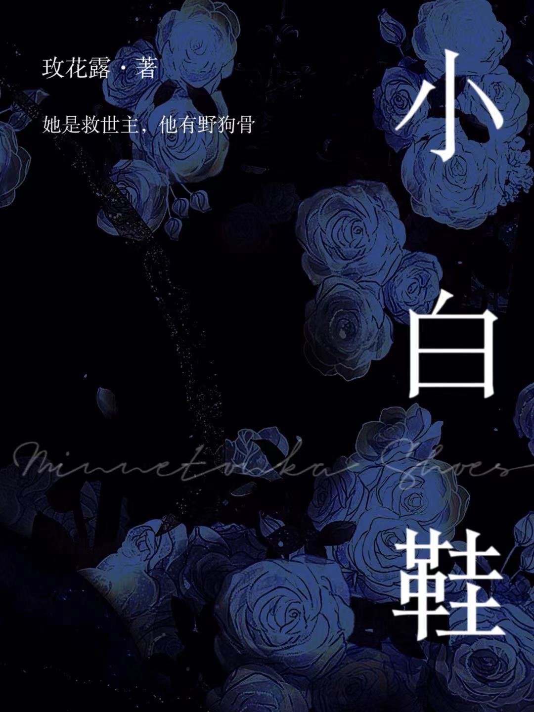 小白鞋小说