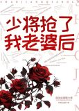 少将抢了我老婆后免费阅读小说