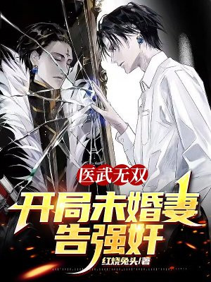 医武双绝小说全集