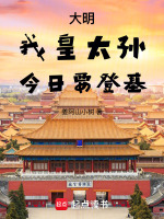 大明我皇太孙今日要登基免费阅读