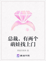 一胎俩宝总裁大人找上门