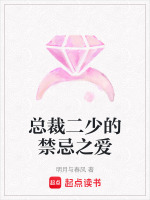 总裁的禁忌前妻小说