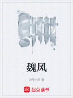 魏风华