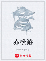 赤松游纹图
