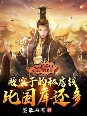 震惊!败家子的私房钱比国库还多 第708章