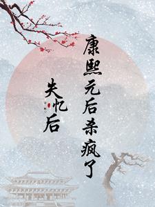 失忆后,康熙元后杀疯了小说