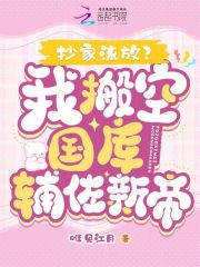 抄家流放前我搬空了国库