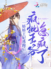 娇娇王妃小说