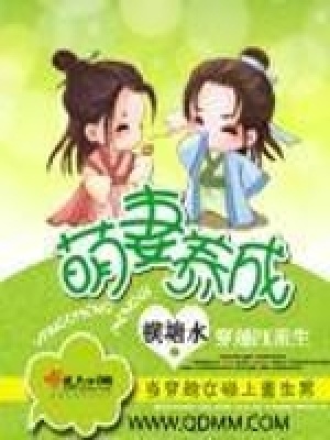 萌妻养成攻略