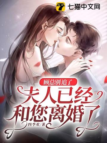 顾总别追了夫人已经和您离婚了