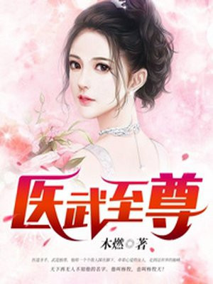 医武至尊宁天 小说TXT下载