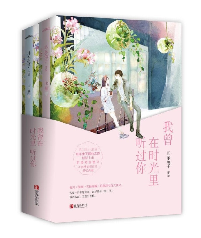 我曾在时光里听过你番外