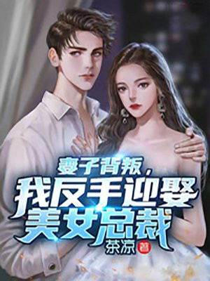 妻子背叛我反手迎娶美女总裁小说全文阅读
