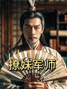 撩军人的小说