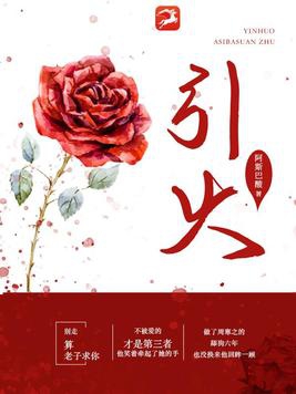 引火小说免费阅读