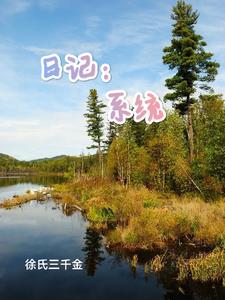 日记系统的小说