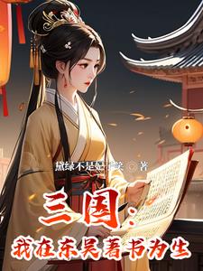 穿越为孙权的小说