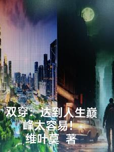 双穿小说是什么意思