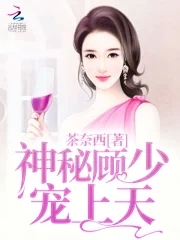 神秘老公顾少宠妻上瘾