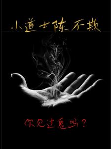 小道士陈不欺 智能小说网盘下载