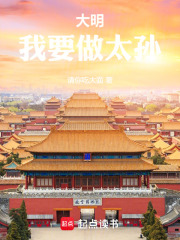 我是大明皇太孙小说
