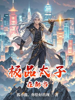 极品太子都市小说讲黑道的