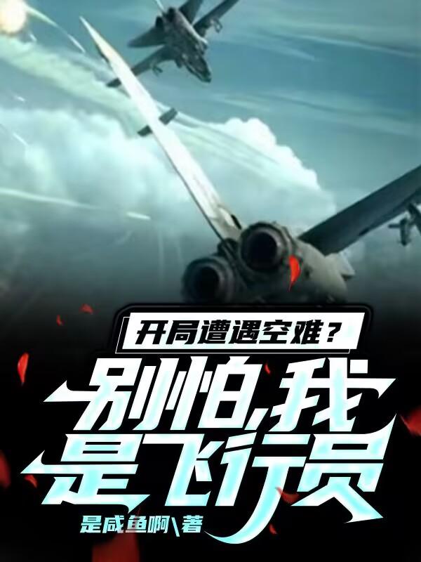 开局空军飞行员小说