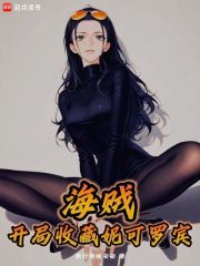 海贼王开局罗宾