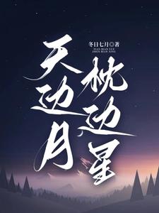 明月落我心小说
