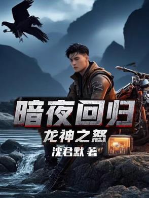 暗夜刀客左轮