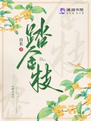 踏金枝小说鸣鉴完结