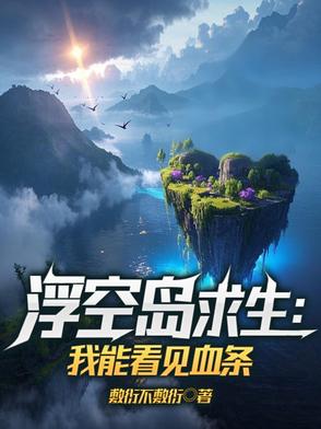 有浮空岛的小说