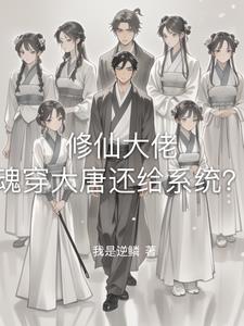 魂穿大唐娶多位公主小说
