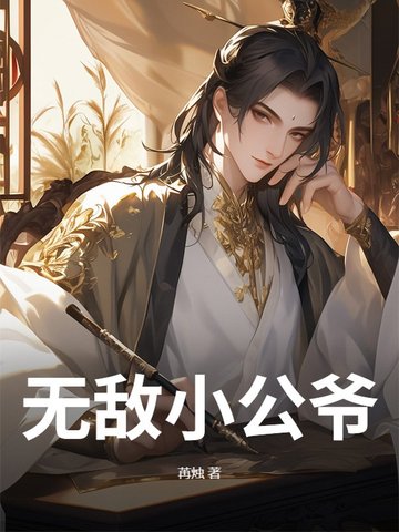 无敌小公爷完整版全集